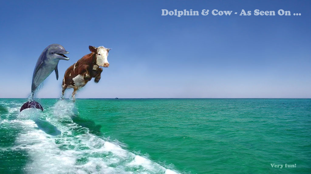 Dolphin and Cow - As Seen On TV!